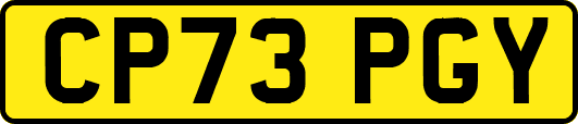 CP73PGY