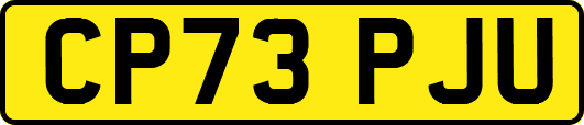 CP73PJU