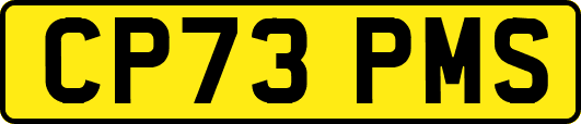 CP73PMS