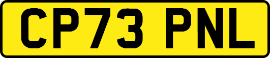 CP73PNL