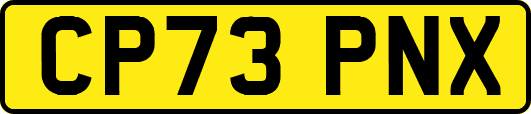 CP73PNX