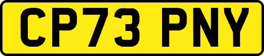 CP73PNY