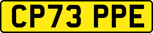 CP73PPE