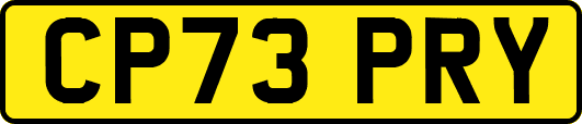CP73PRY