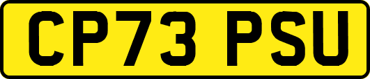 CP73PSU