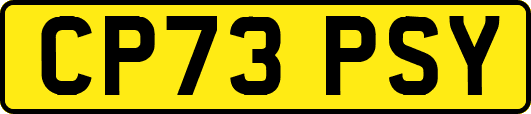 CP73PSY