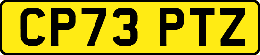 CP73PTZ