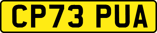 CP73PUA