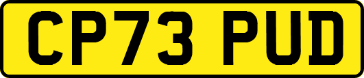 CP73PUD