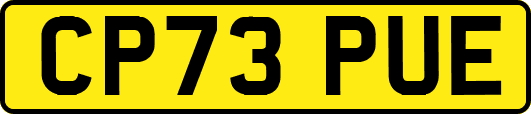 CP73PUE