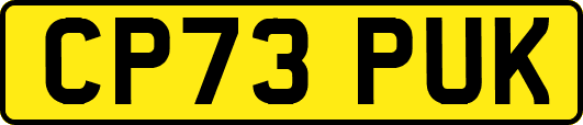 CP73PUK