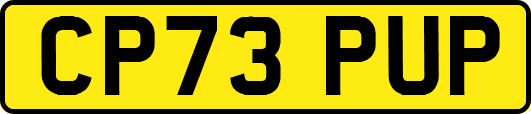 CP73PUP