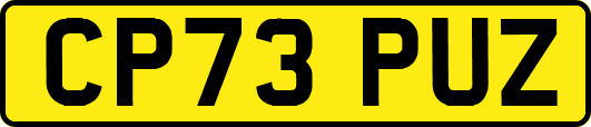 CP73PUZ