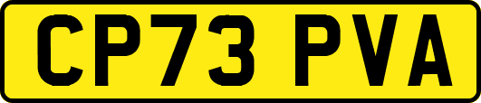 CP73PVA
