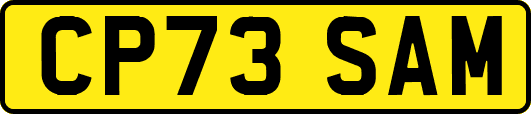CP73SAM