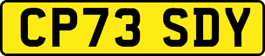 CP73SDY