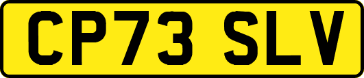CP73SLV