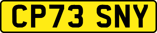 CP73SNY