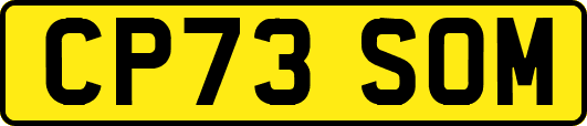 CP73SOM