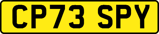 CP73SPY