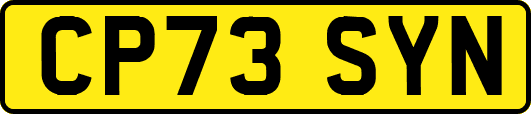 CP73SYN