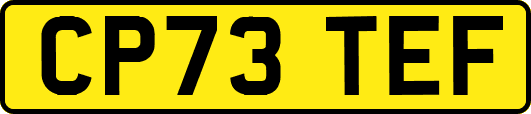 CP73TEF