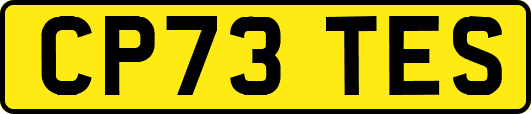 CP73TES