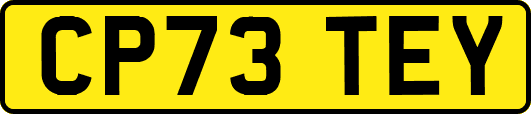 CP73TEY