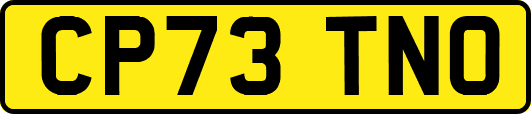 CP73TNO