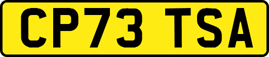 CP73TSA