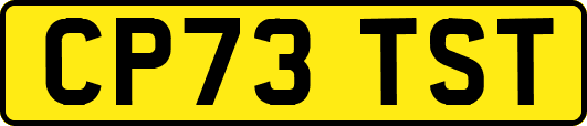 CP73TST
