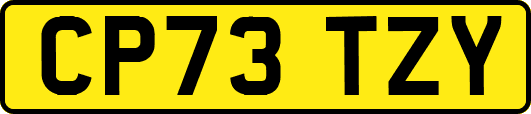 CP73TZY