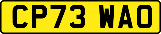 CP73WAO