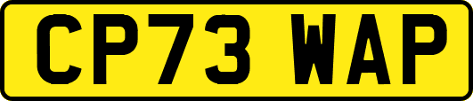 CP73WAP