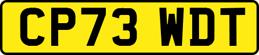 CP73WDT