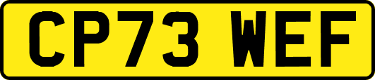 CP73WEF