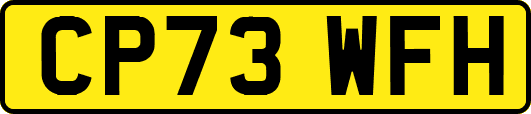 CP73WFH