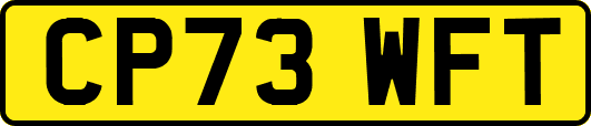 CP73WFT