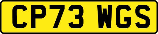 CP73WGS