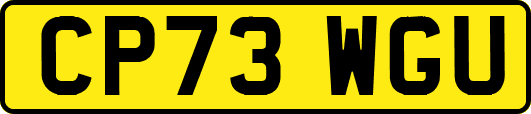 CP73WGU