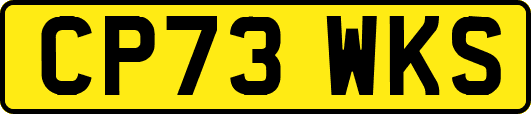 CP73WKS