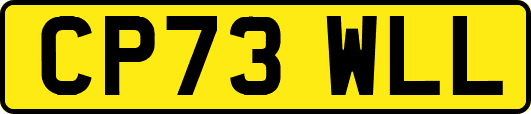 CP73WLL