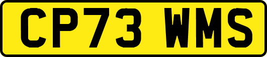 CP73WMS