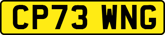 CP73WNG