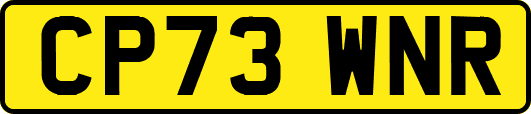 CP73WNR
