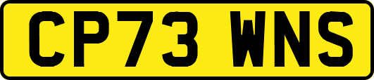 CP73WNS