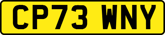 CP73WNY