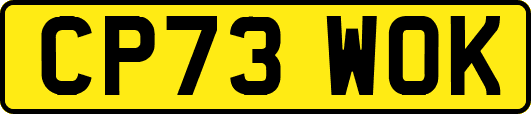 CP73WOK