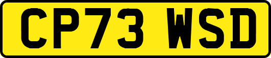 CP73WSD