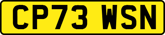 CP73WSN